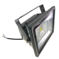 30W LED Floodlight IP65 100-240V