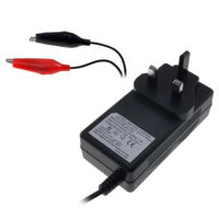 300mA Automatic Plug-Top Charger for 6V & 12V sealed lead-acid SLA batteries