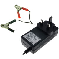 300mA Automatic Plug-Top Charger for 6V & 12V sealed lead-acid SLA batteries