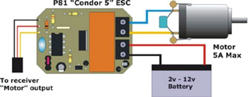 P81 Condor 5 Autoset Computer Speed Controller ACTion Electronics®
