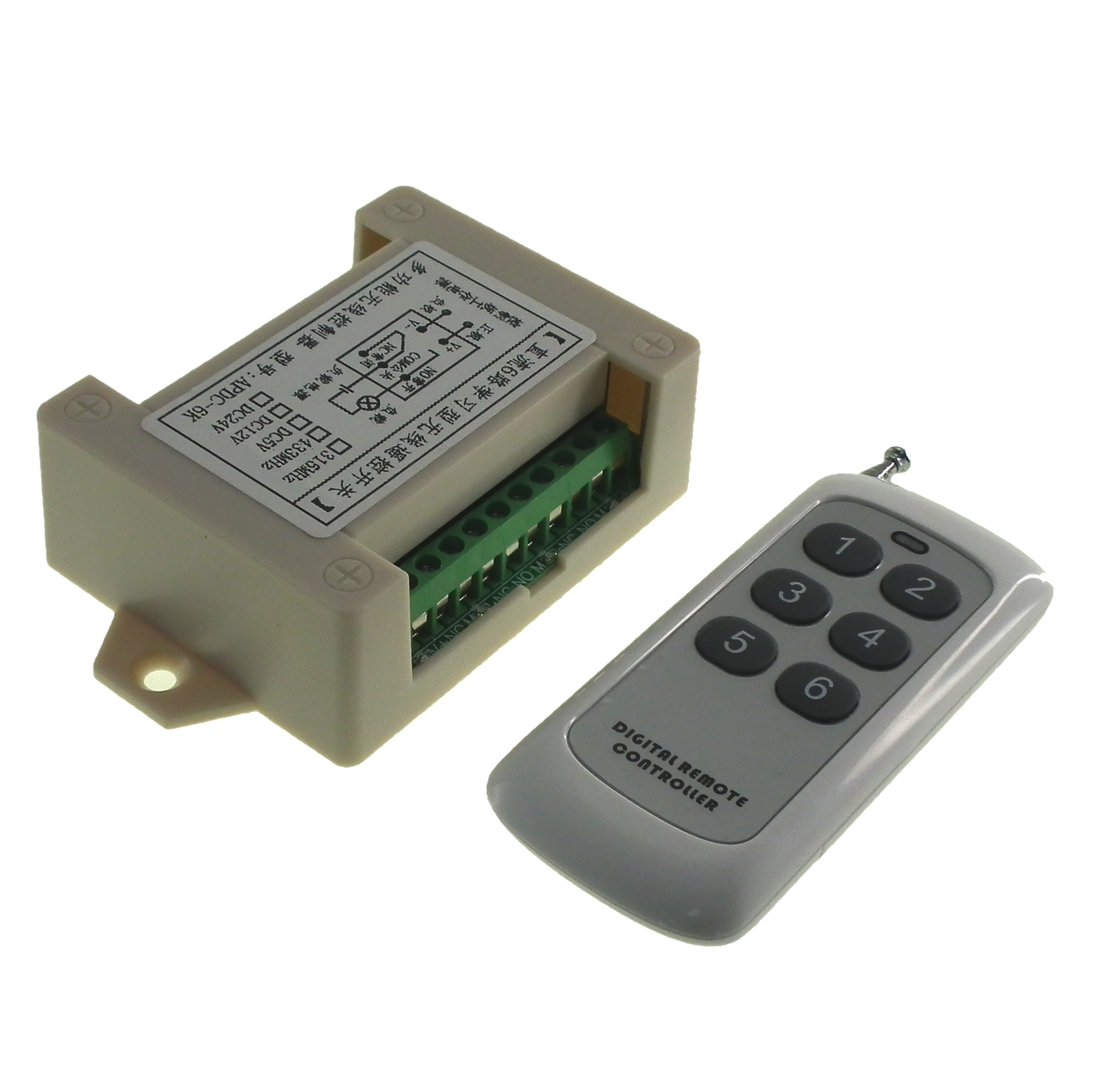 Remote Control and Receiver Relay