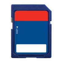 SD Memory Card for P110 "Noisy Thing II" - ACTion Electronics®